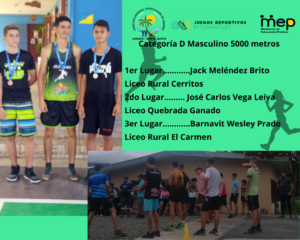 B Masculino
