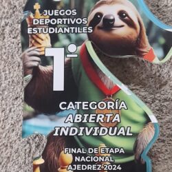 Final nacional de ajedrez categoría C